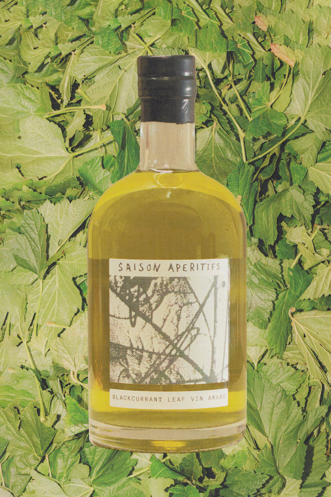 Blackcurrant leaf vin amaro